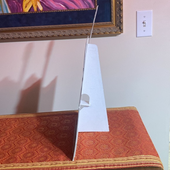 Shania Twain tabletop Standee Cardboard Display - Picture 8 of 9